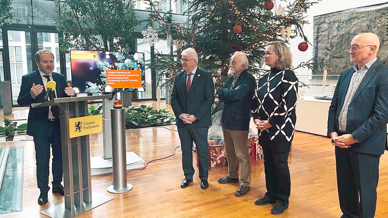 <p>Im flämischen Parlament steht wieder ein Weihnachtsbaum, der ostbelgische Wurzeln hat</p>
