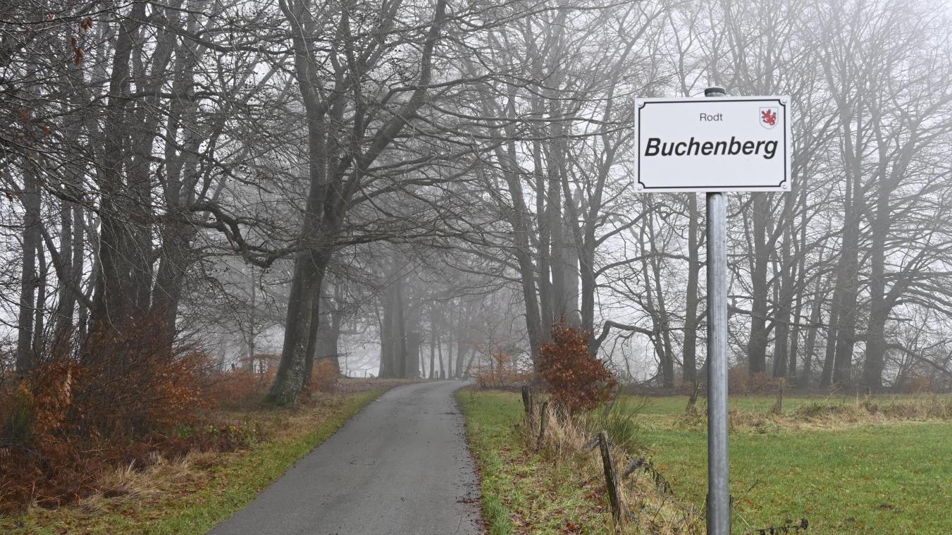 <p>Die bekannten Rodter Buchen auf dem nach ihnen benannten Buchenberg gehören zu den bemerkenswerten Bäumen im Süden Ostbelgiens.</p>