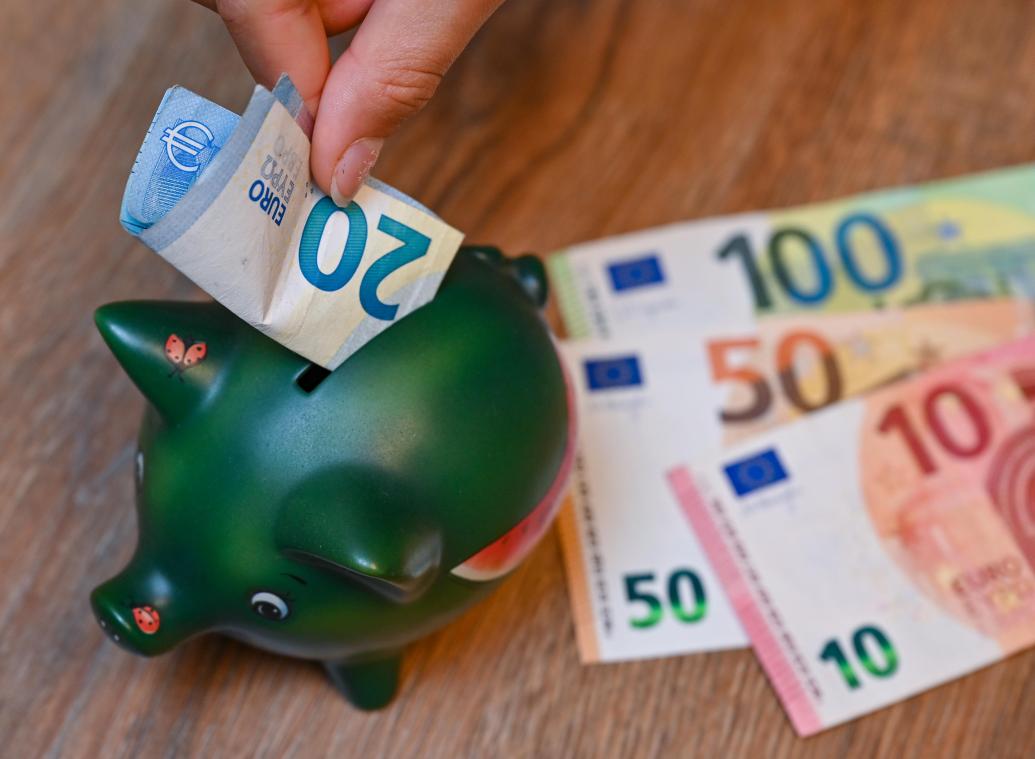 <p>Das Sparschwein hat hierzulande noch nicht ausgedient.</p>