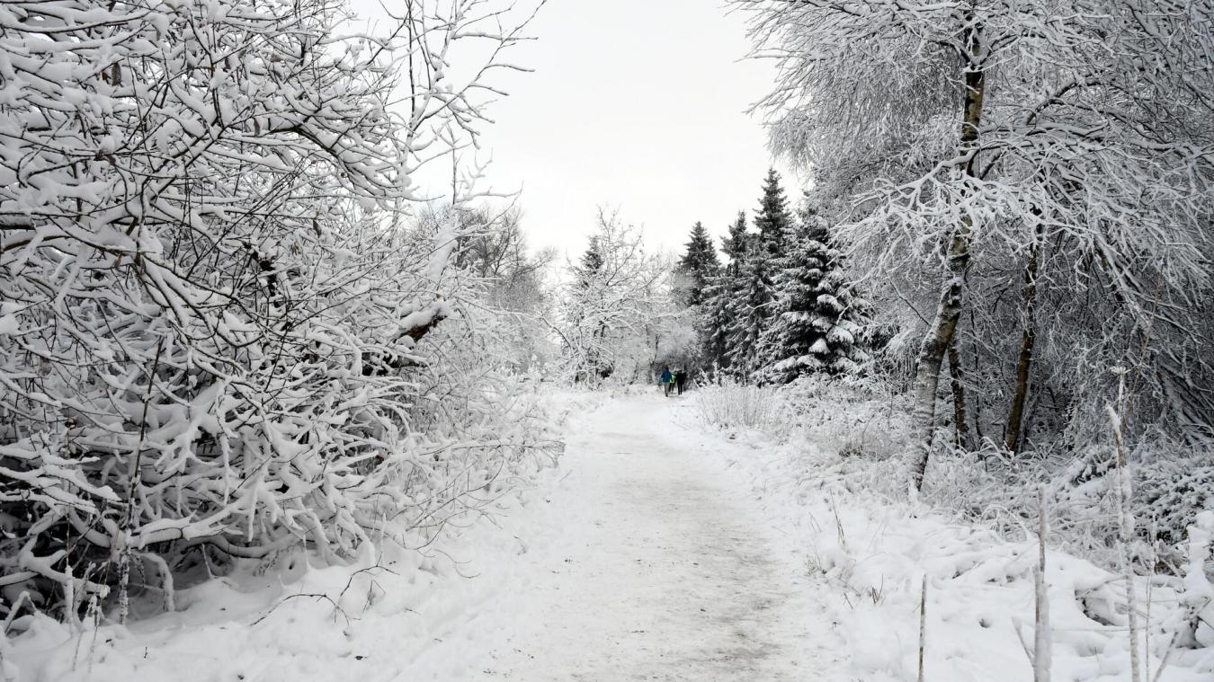 <p>Im Hohen Venn werden rund 15 Zentimeter Neuschnee erwartet.</p>