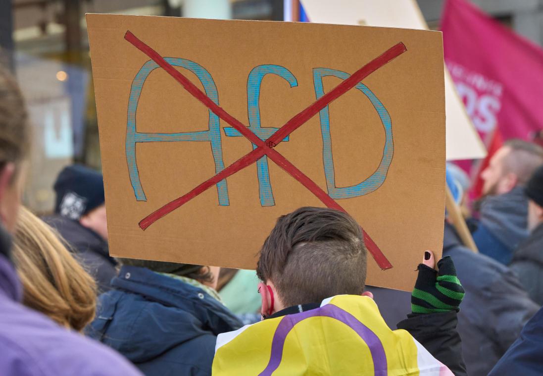 <p>Ein durchgestrichenes AfD-Logo ist auf einem Schild bei einer Demo gegen Rechts zu sehen.</p>
