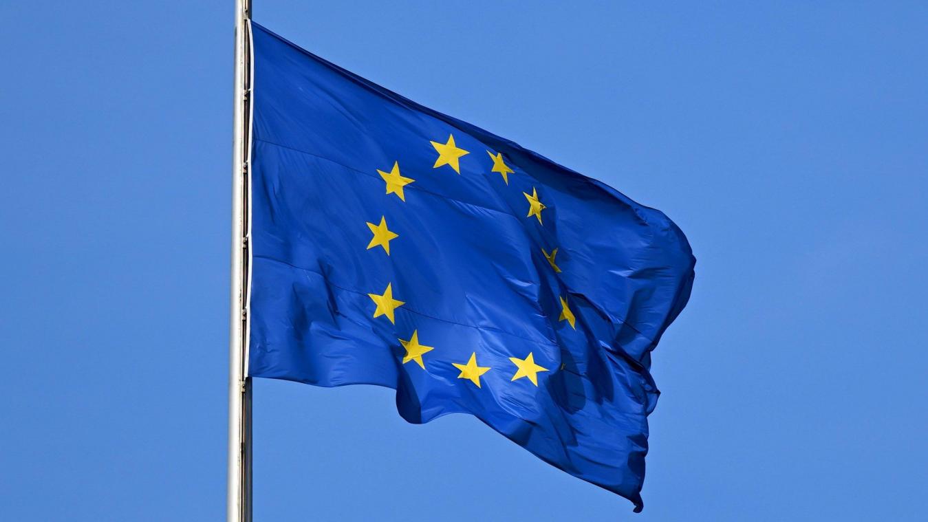 <p>Die Flagge der Europäischen Union</p>