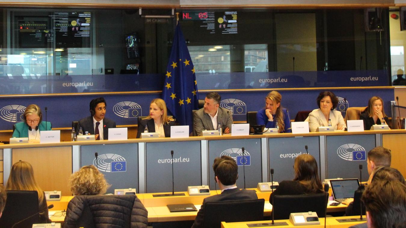 <p>Das Panel der von Pascal Arimont (M.) organisierten Anhörung mit u.a. Silke Müller (3.v.r.) als Gastrednerin und Vertretern von Plattformanbietern.</p>