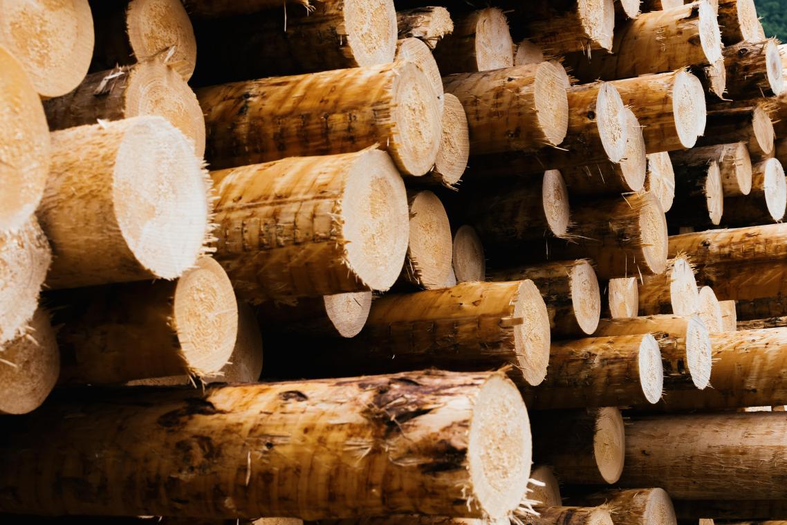 <p>Bewährungsstrafe für Holzhändler aus Jalhay</p>
