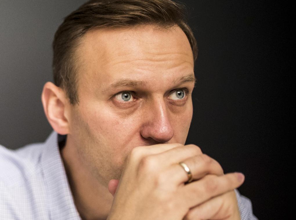 <p>Das von Nawalnys Organisation zur Verfügung gestellte Bild zeigt Alexej Nawalny im Jahr 2017 als er nach einer 20-tägigen Arreststrafe freigelassen wurde.</p>