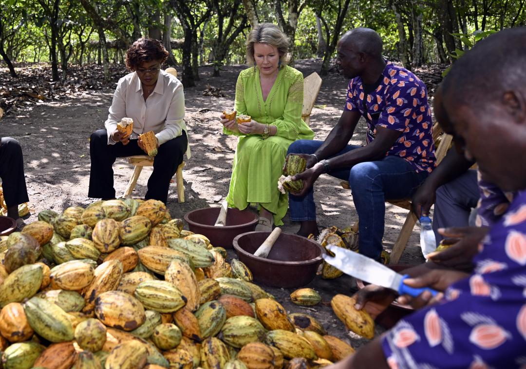 <p>Königin Mathilde traf bei ihrem Besuch in der Elfenbeinküste eine Gruppe Kakaobauern. Begleitet wurde sie von der ivorischen Entwicklungsministerin Kaba Nialé (links).</p>