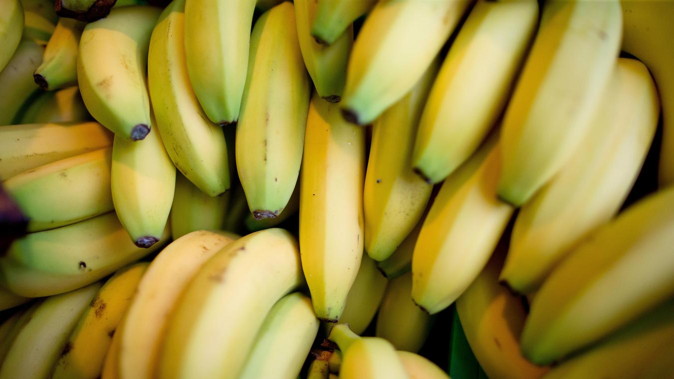 <p>Bananen sind in Supermärkten trotz des weiten Transports in Kühlschiffen oft unschlagbar billig.</p>