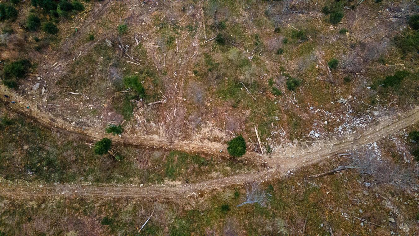 <p>Die Luftaufnahme zeigt einen abgeholzten Wald in den rumänischen Karpaten</p>