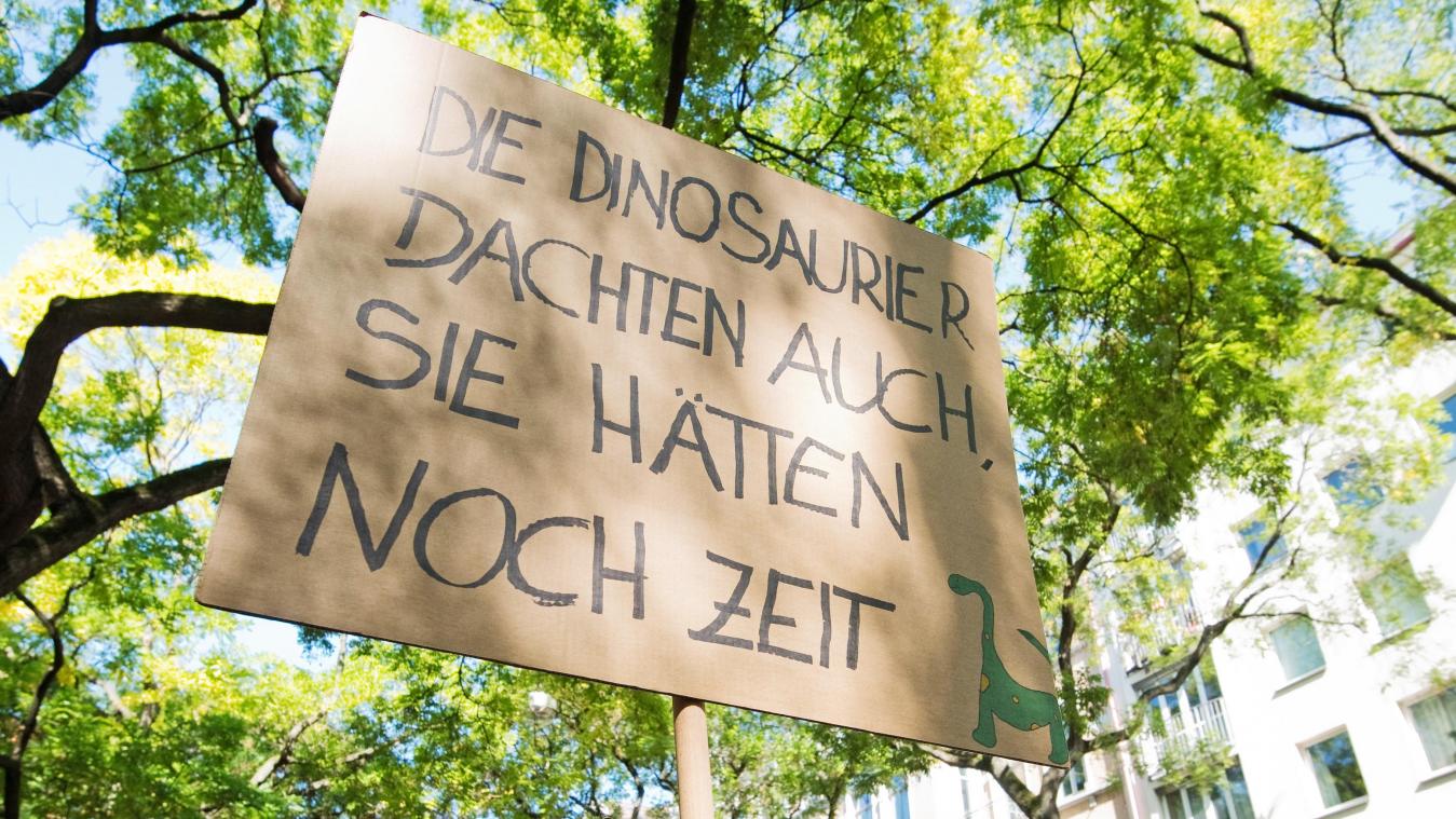 <p>„Die Dinosaurier dachten auch sie hätten noch Zeit“ steht auf einem Protestplakat: Weltweit finden immer wieder Klima-Demos statt - nun auch in Malmedy.</p>