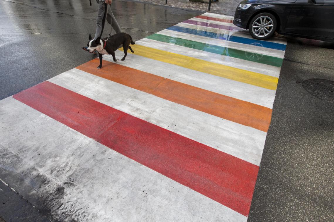 <p>Auch die Regenbogen-Zebrastreifen werden erneuert.</p>