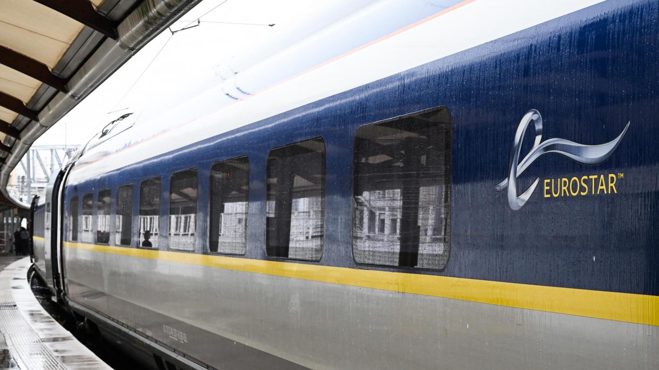 <p>Eurostar will bis zu 50 neue Züge bestellen</p>