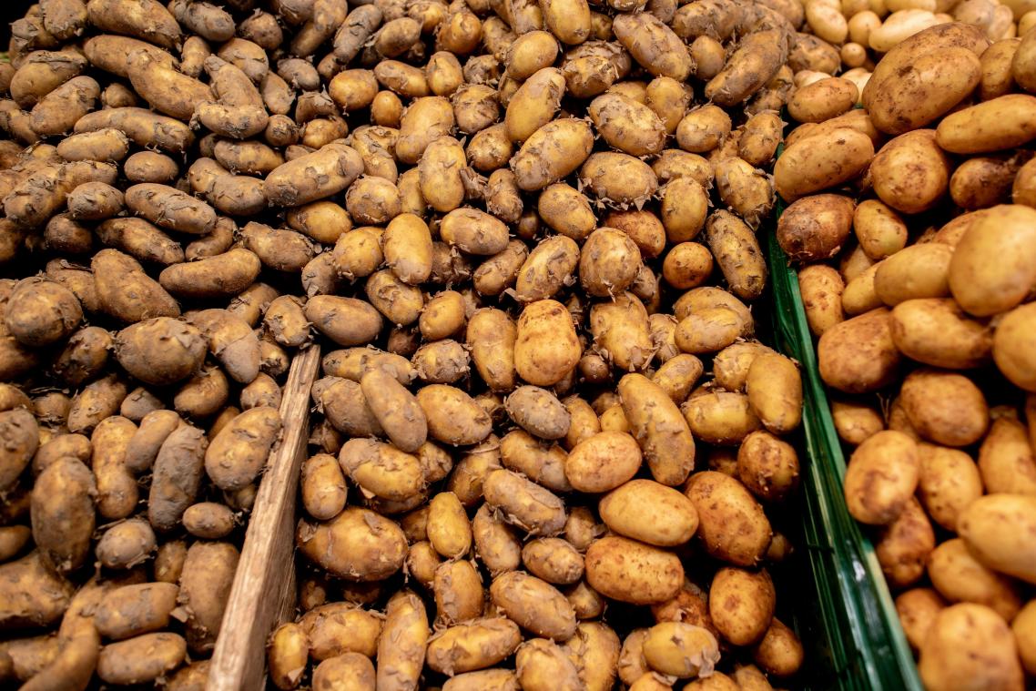 <p>Greenpeace kritisiert die Verteilung der Gewinne in der belgischen Kartoffelbranche.</p>