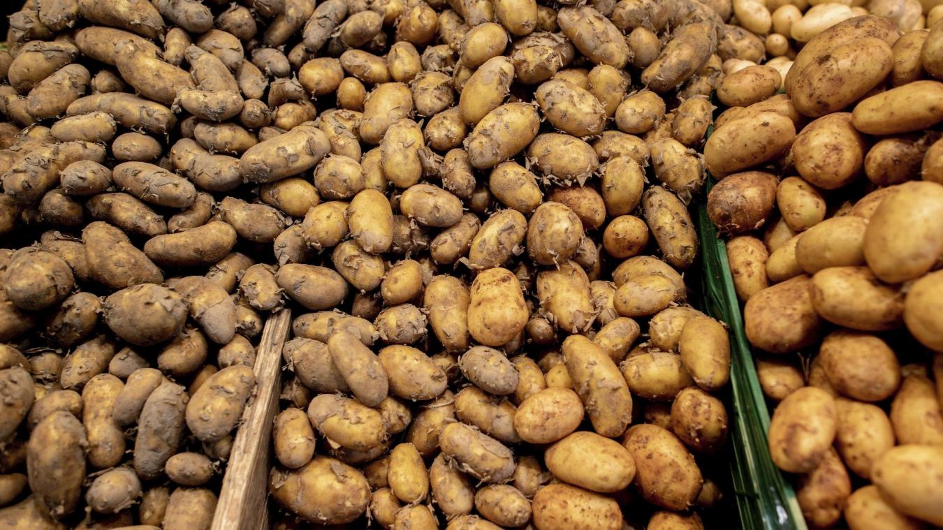 <p>Kartoffelproduktion hat deutlich zugenommen</p>