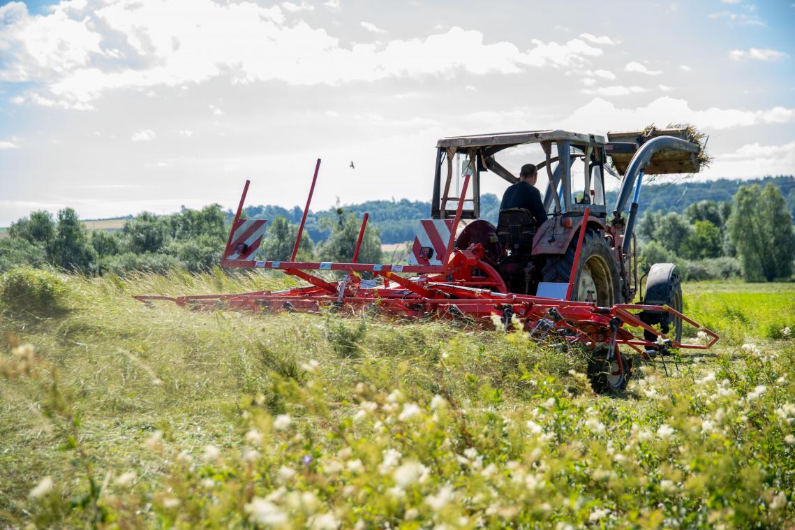<p>Wallonische Landwirte haben zunehmend Probleme, Nachfolger für ihre Betriebe zu finden. In den kommenden zehn Jahren muss theoretisch die Nachfolge für 8.000 Betriebe geregelt werden.</p>