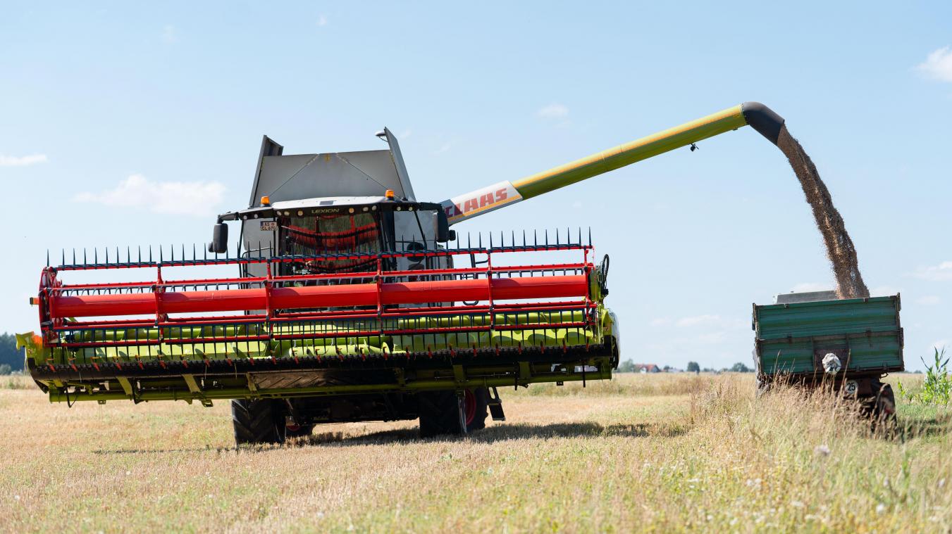 <p>Das schlechte Wetter bereitet den belgischen Landwirten Sorgen.</p>