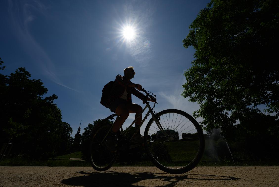 <p>Fahrradleasing über Arbeitgeber nimmt langsam Fahrt auf</p>