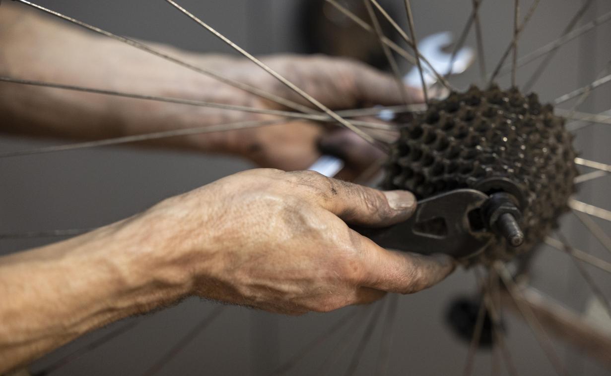 <p>Belgische Fahrradbranche erwirtschaftet fast eine Milliarde Euro</p>