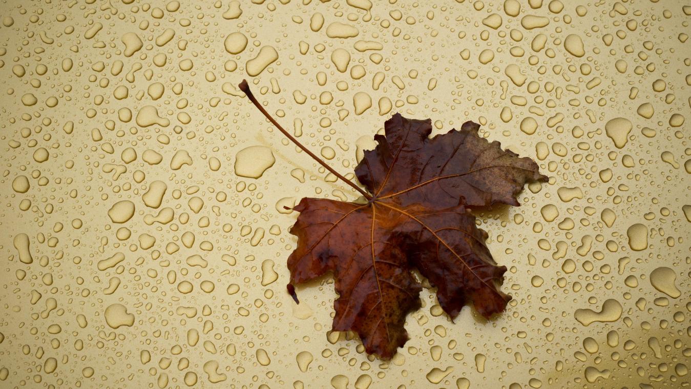 <p>Rekordniederschläge und trübe Tage: Belgien erlebt außergewöhnlichen November</p>
