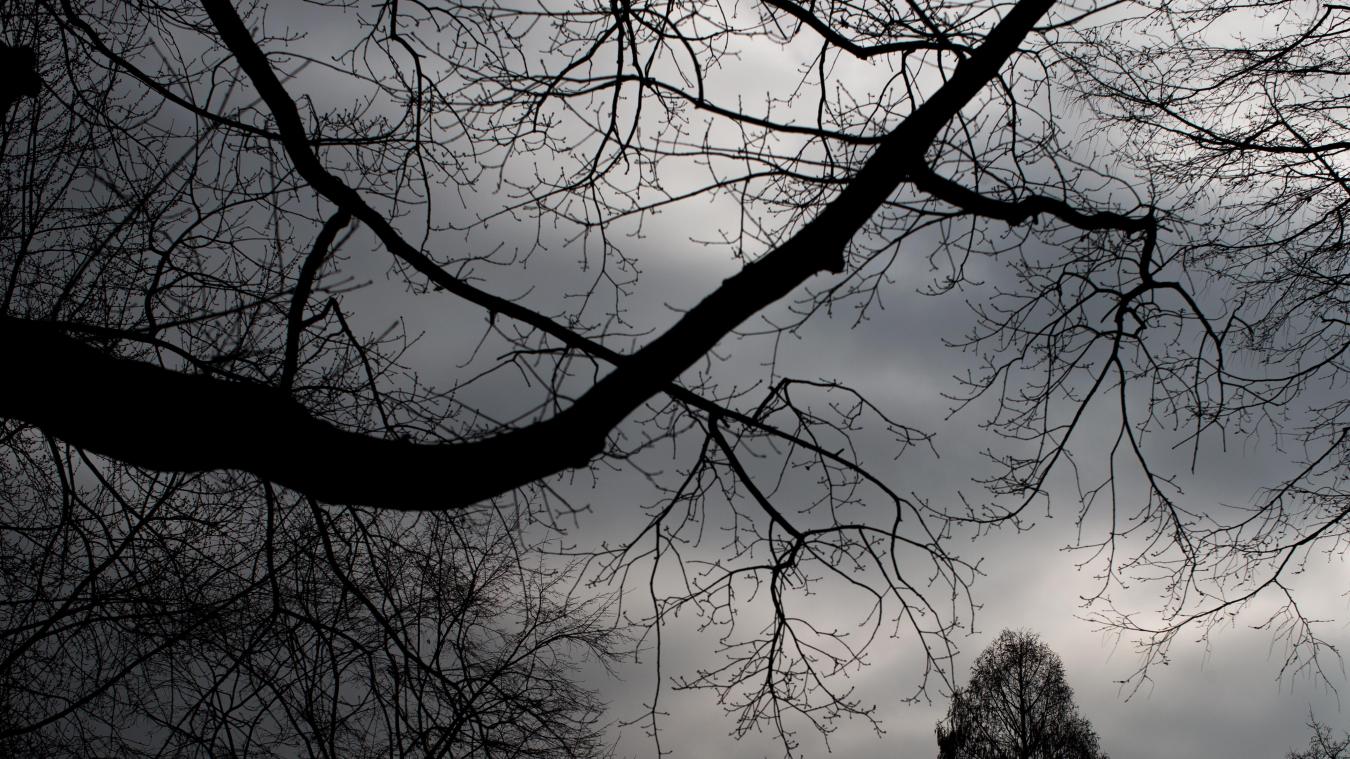 <p>Wintergrau drückt hierzulande aufs Gemüt.</p>
