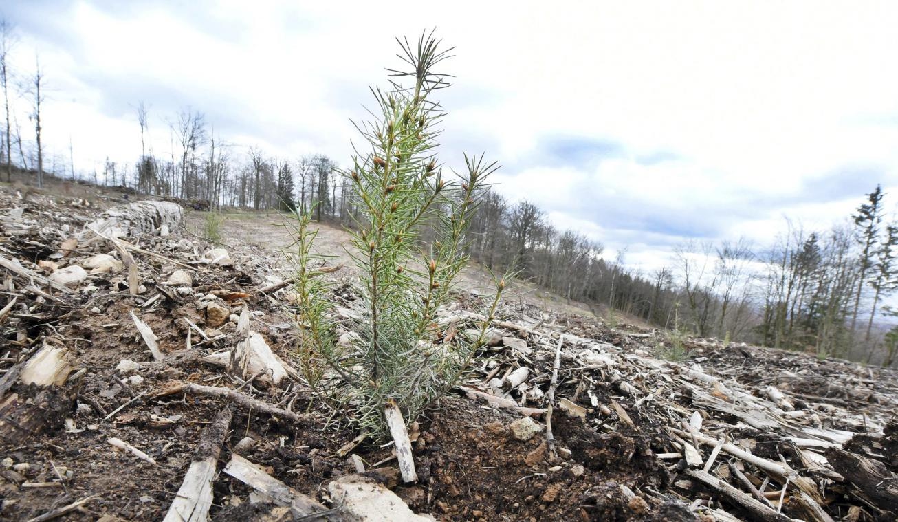 <p>Die Organisationen sehen in ganz Europa Handlungsbedarf in Sachen Klimapolitik.</p>