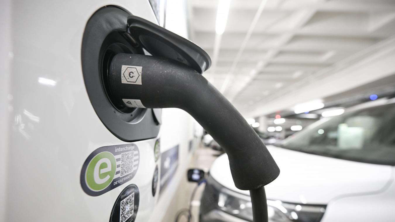 <p>Elektrische Autos punkten laut der Umfrage bei Komfort und Umweltfreundlichkeit.</p>