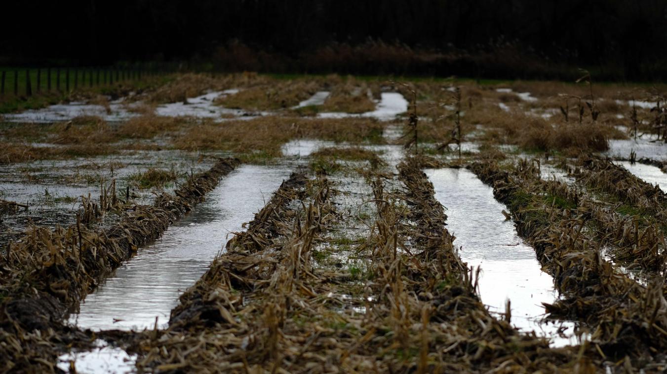 <p>Am Montag, dem 6. Januar 2025, erlebte Belgien stürmisches Wetter mit starken Regenfällen und heftigen Winden. In Landen hinterließen die Niederschläge überflutete Felder.</p>