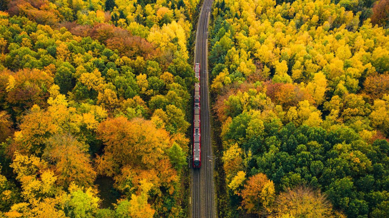 <p>Ab in die Bahn: Die EU -Initiative DiscoverEU ermöglicht es jungen Menschen, Europa zu entdecken.</p>