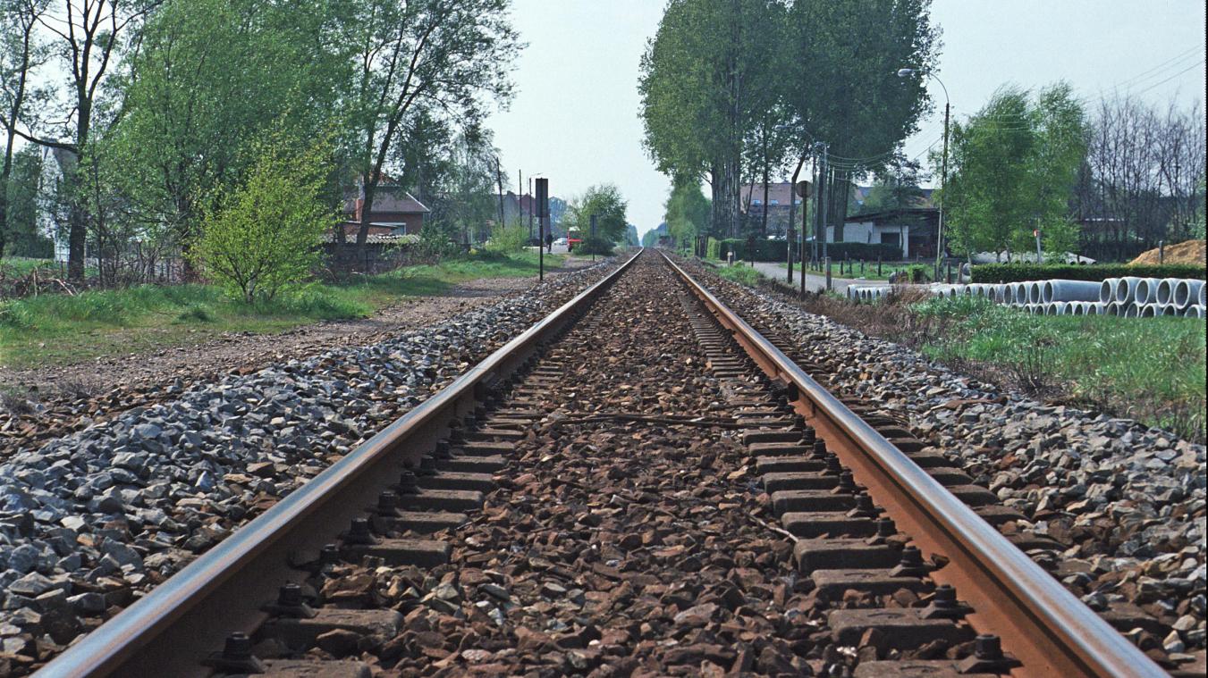 <p>Die Bahnverbindung „Eiserne Rhein“, die von Antwerpen über die Niederlande ins deutsche Ruhrgebiet führt, existiert seit dem 19. Jahrhundert, wurde jedoch 1991 stillgelegt. Seither scheitern Wiederbelebungsversuche an Widerstand aus Den Haag.</p>