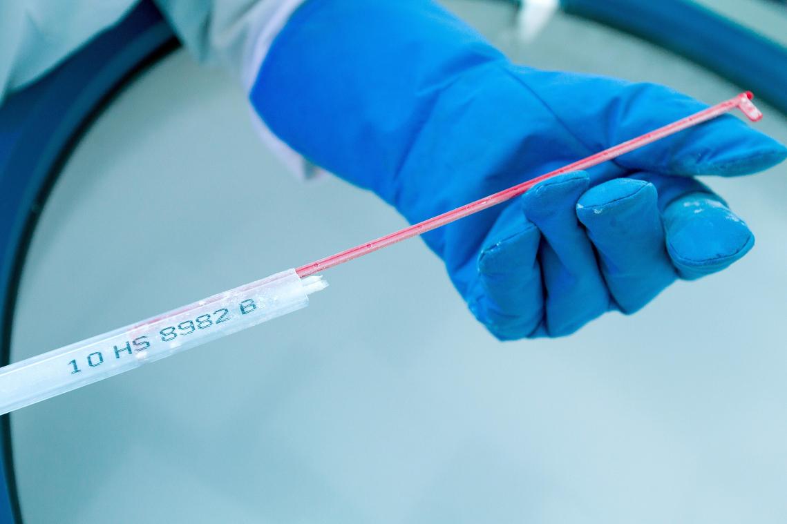 <p>Kontrolle einer Samenprobe, die in flüssigem Stickstoff gelagert wird.</p>