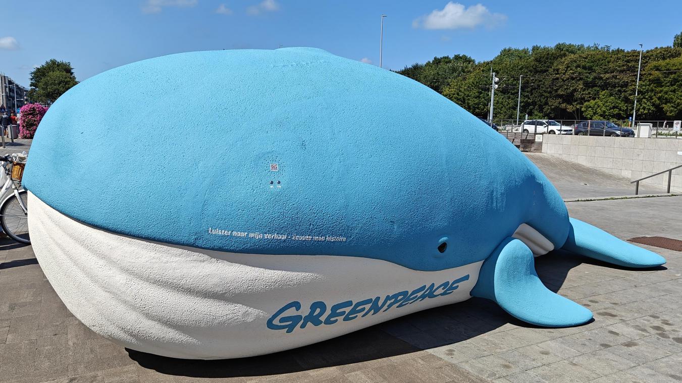 <p>Greenpeace stellt in Bredene eine sechs Meter lange Blauwalskulptur auf – als Warnung vor den Folgen des Tiefseebergbaus.</p>