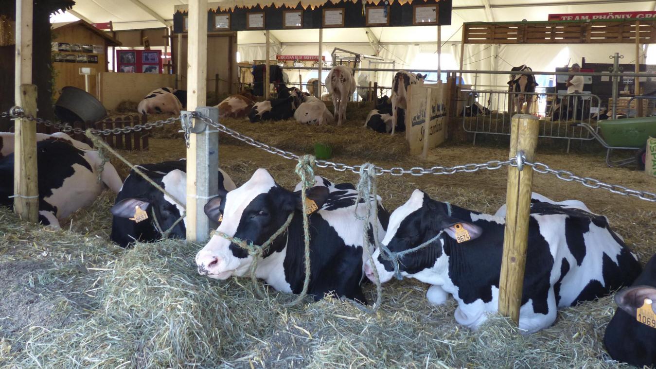 <p>Die 35. Auflage steht zudem unter dem Motto „Der Landwirt – mein Superheld“.</p>