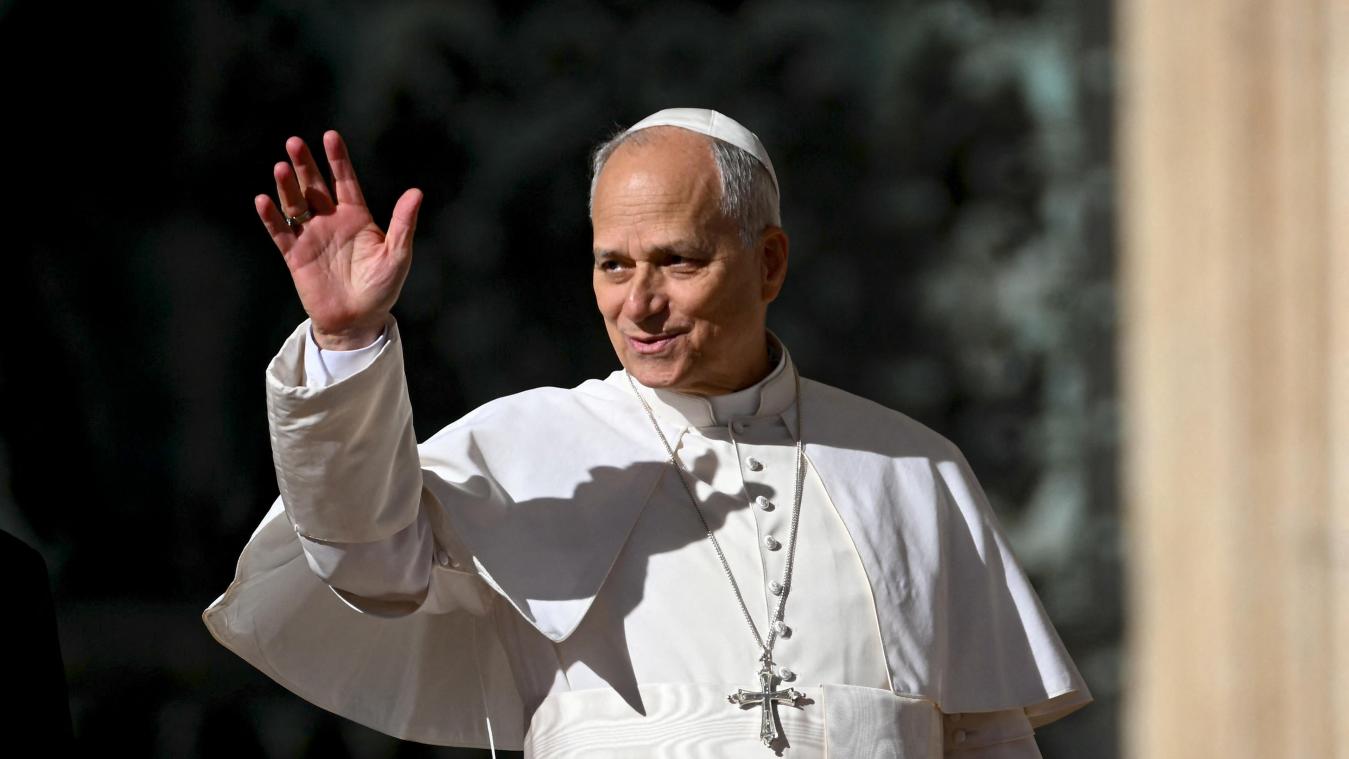 <p>Papst Leo XIV.</p>