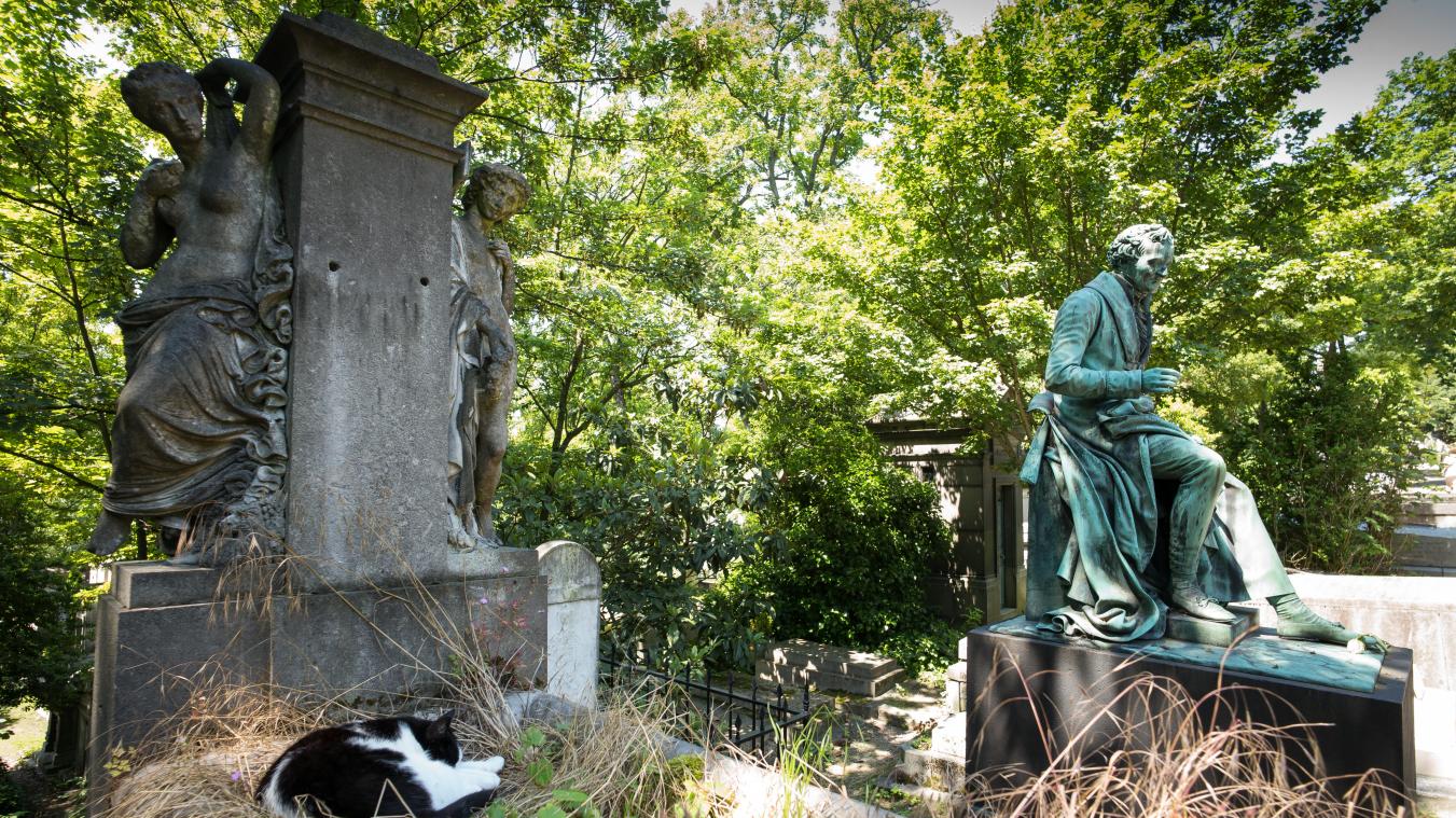 <p>Auf drei berühmten Pariser Friedhöfen verlost die Stadt historische Grabstätten an interessierte Käufer, die sich zur Restaurierung der oft verwitterten und unter Denkmalschutz stehenden Gräber verpflichten.</p>