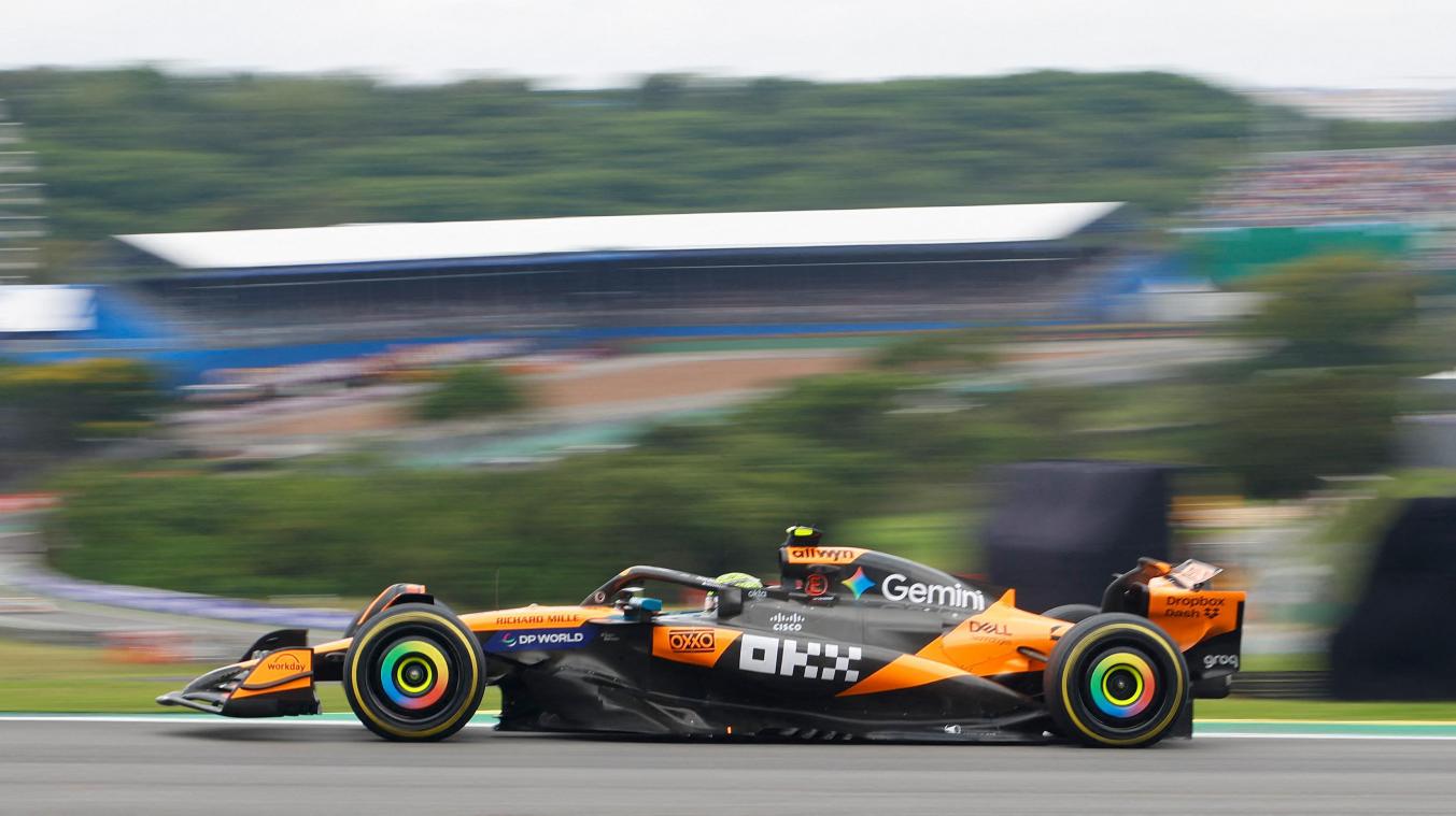 <p>Einen Tag nach seinem Sprintsieg gewann der britische McLaren-Pilot Norris auch den Großen Preis in São Paulo.</p>
