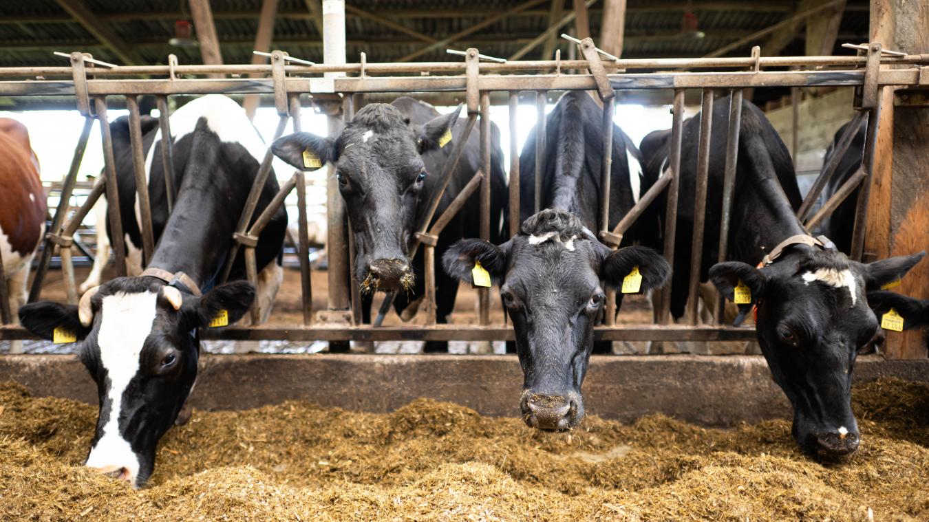 <p>Landwirte in der EU sollen künftig weniger Papierkram erledigen müssen.</p>