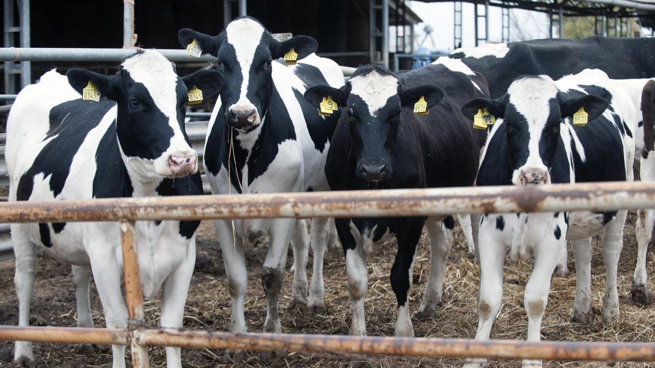 <p>Die EU reagiert auf Bauernproteste: Künftig soll es weniger Papierkram geben und gerade Bio-Betriebe sollen einfacher an Fördermittel kommen. Kann eine Milliardensumme gespart werden?</p>