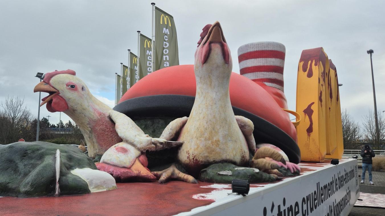 <p>GAIA wirft McDonald’s mangelnden Tierschutz vor.</p>