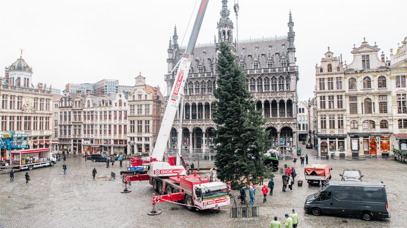 <p>Mit schwerem Gerät wurde der Baum auf dem Grand-Place aufgestellt.</p>