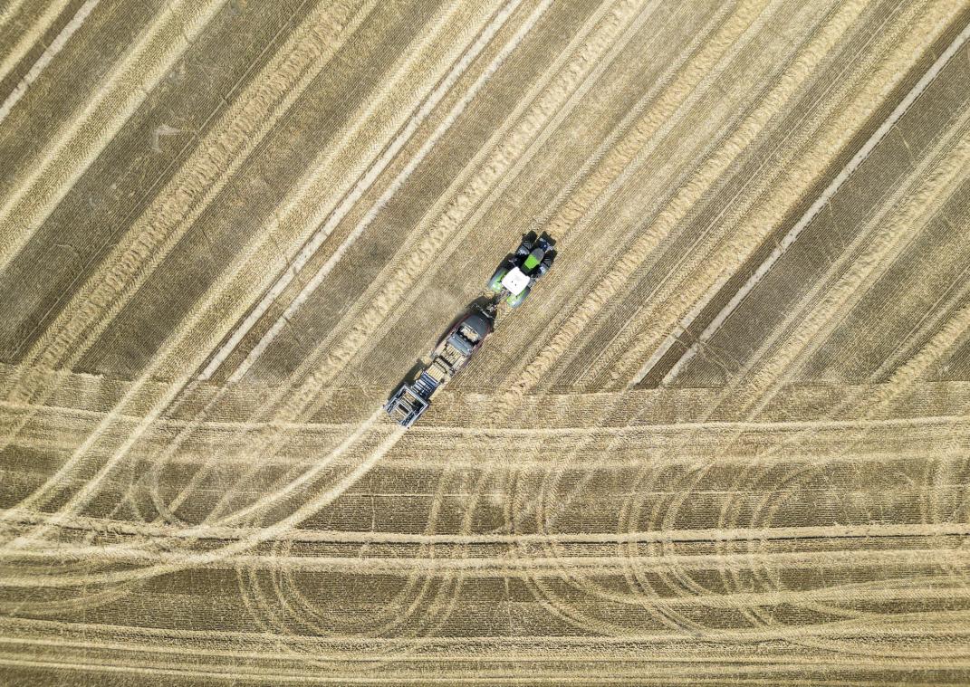 <p>Ein Traktor bei der Feldarbeit – ein Bild, das die aktuelle Debatte im Parlament der DG symbolisiert. Dort warnte die Ecolo-Abgeordnete Fabienne Colling vor steigenden Bodenpreisen und dem Verlust landwirtschaftlicher Flächen. In Ostbelgien wie in der Wallonie wächst die Sorge, dass immer mehr Agrarland in die Hände externer Investoren gelangt und damit langfristig die Ernährungssouveränität gefährdet wird.</p>