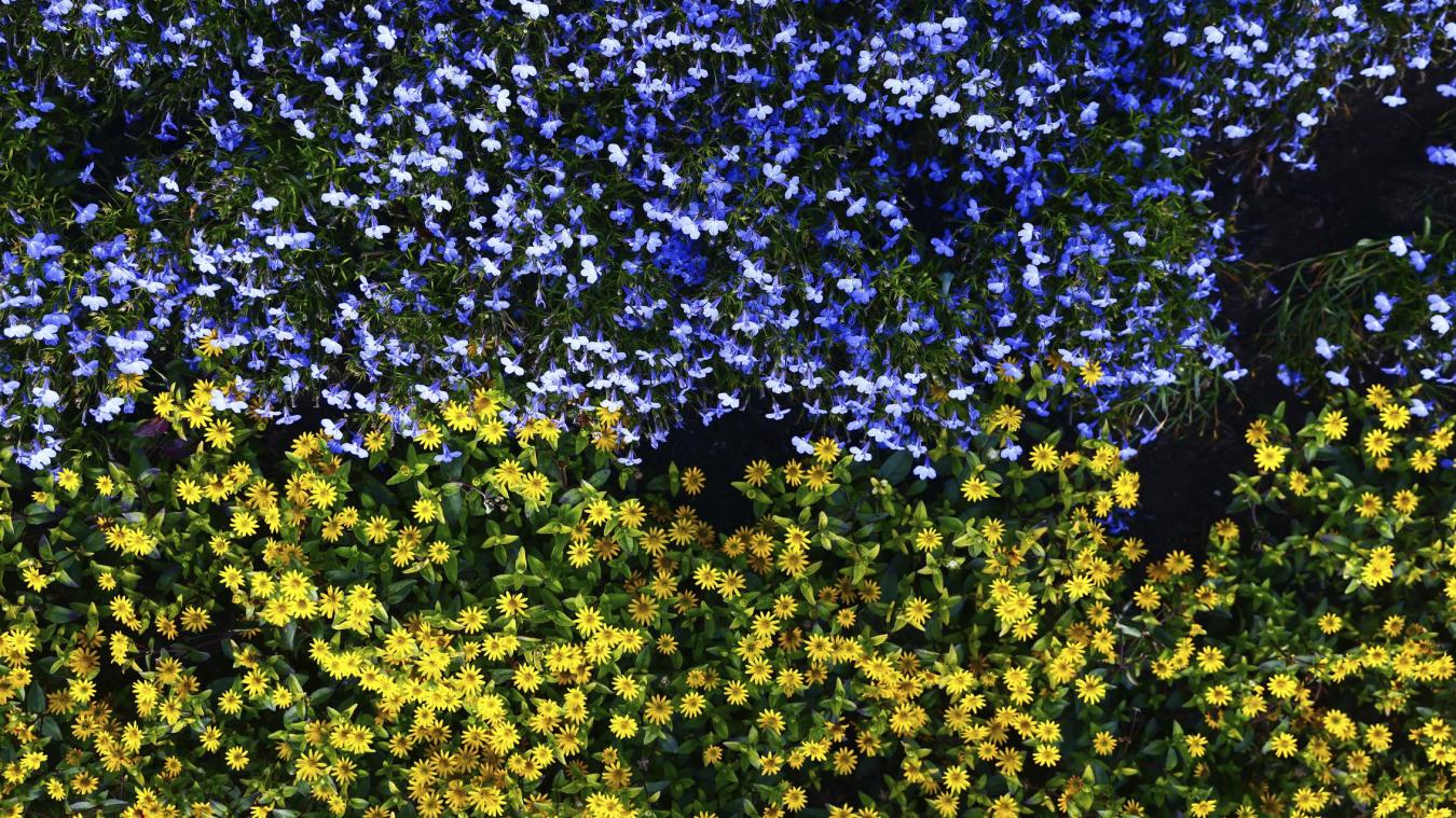 <p>Europas Rolle in den Ukraine-Gesprächen: Stille Machtverschiebung</p>
