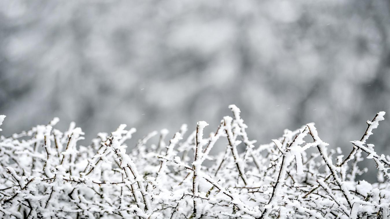 <p>Viele Touristen hoffen bei ihrem Kurzaufenthalt in den Ardennen auf Schnee.</p>