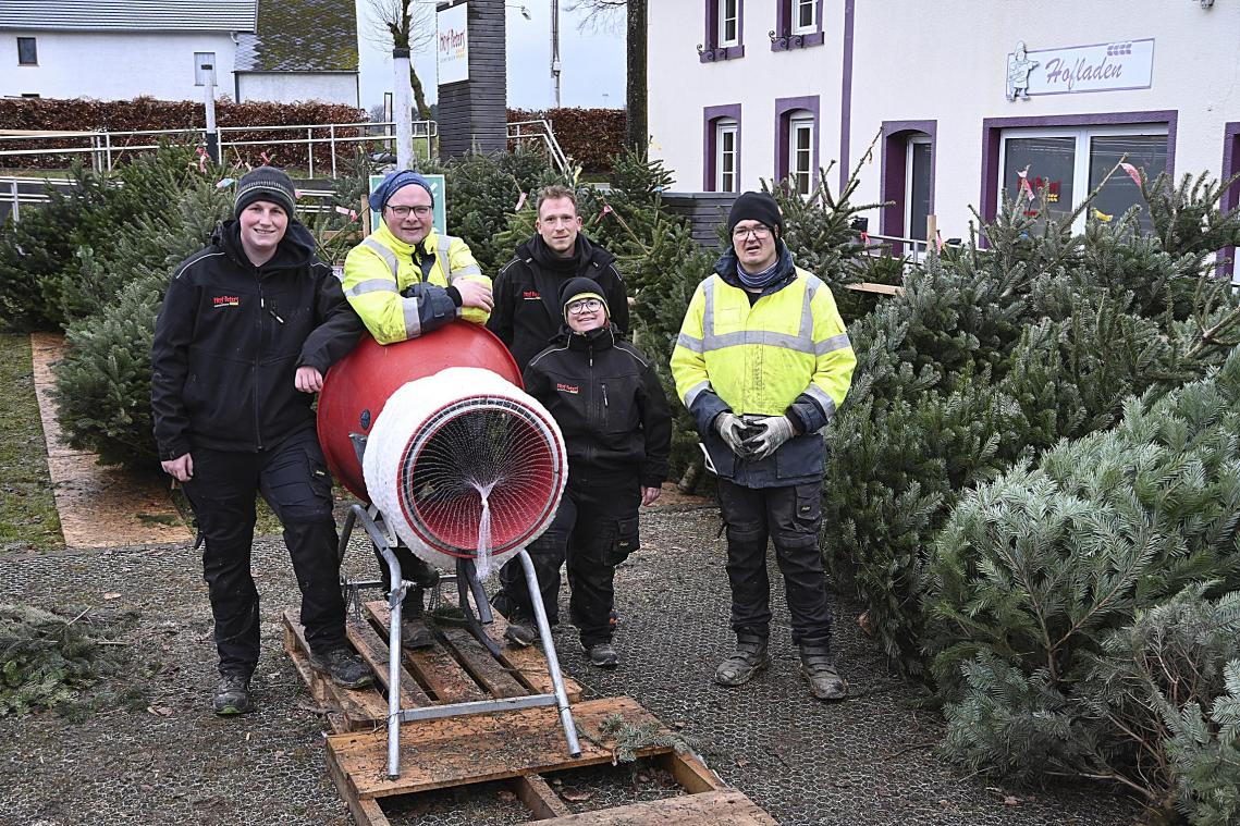 <p>Das Green Team kümmert sich um das Sortieren, Verkaufen und Einnetzen der Weihnachtsbäume.</p>