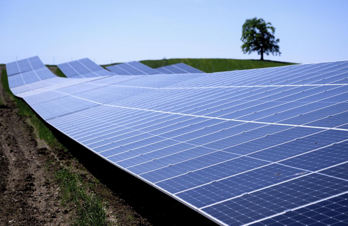 <p>Raumordnungsminister François Desquesnes hat den Bau eines 40 Hektar großen Solarparks auf landwirtschaftlichen Flächen in Ortho (La Roche) abgelehnt.</p>