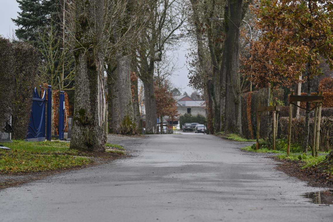 <p>In der Hochstraße wird ein naturbelassener Fuß- und Radweg angelegt.</p>