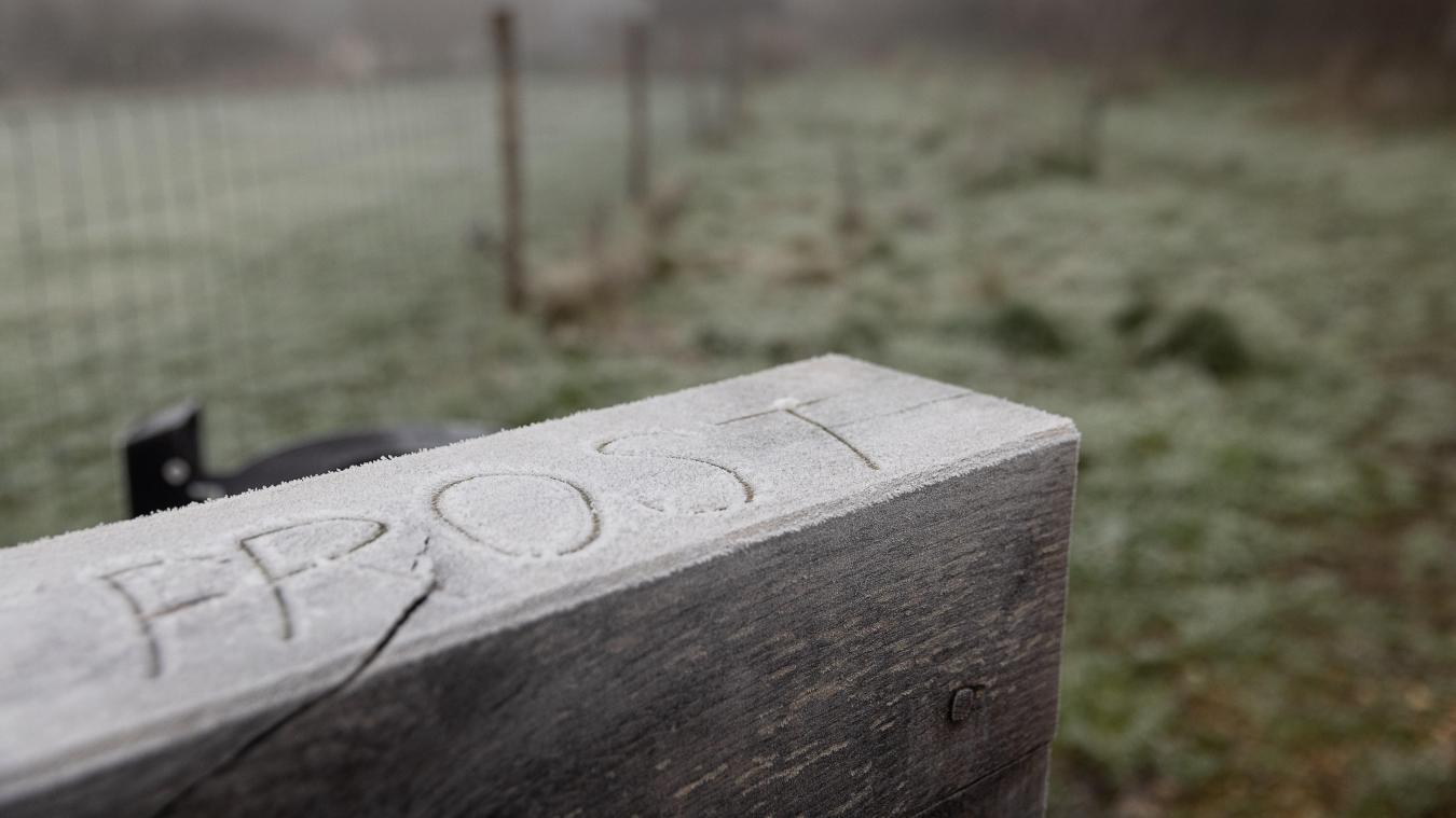 <p>Weihnachtswetter in Ostbelgien: Kein Schnee, aber Winterfeeling pur.</p>