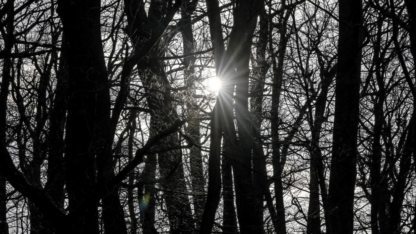 <p>Auch in Parks und Wäldern kommt es zu mehr Fällen von Exhibitionsmus.</p>