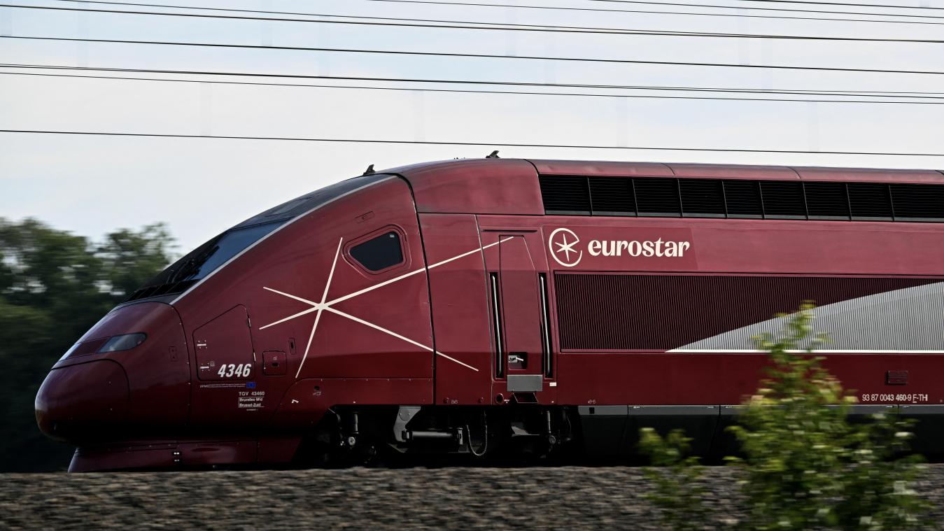 <p>Eurostar stoppt alle Züge zwischen London, Paris, Brüssel und Amsterdam</p>

