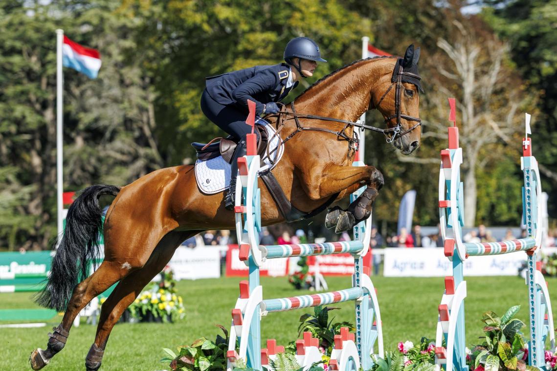 <p>Eine der umstrittensten Regeländerungen gibt es im neuen Jahr im Reitsport.</p>