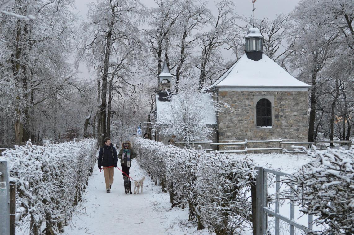 <p>Im Hohen Venn, hier auf Baraque Michel, könnten Sonntagmittag über 20 Zentimeter Schnee liegen.</p>