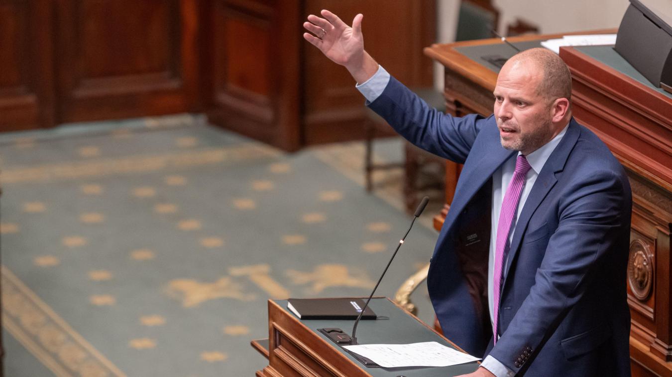 <p>Verteidigungsminister Theo Francken in der Kammer</p>